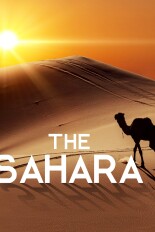The Sahara