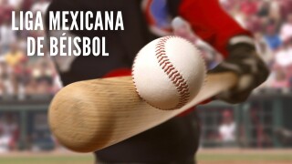 Liga Mexicana de Béisbol