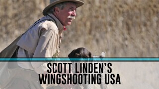 Wingshooting USA