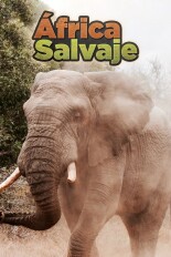 África Salvaje