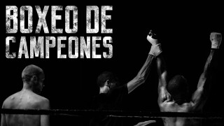 Boxeo de Campeones