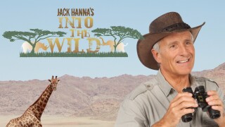 Jack Hanna's Into the Wild