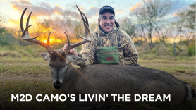 M2D Camo's Livin' the Dream