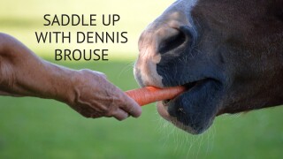 Saddle Up With Dennis Brouse