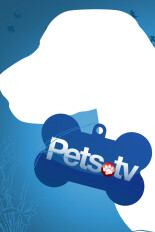 Pets.TV