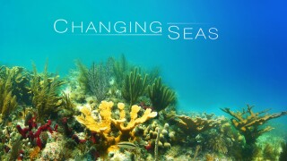 Changing Seas