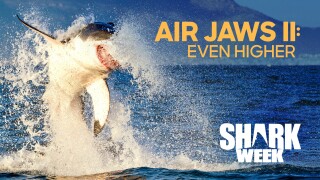Air Jaws II: Even Higher