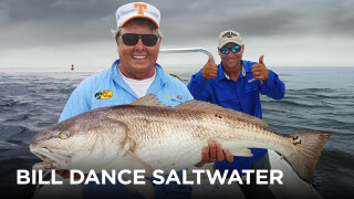 Bill Dance Saltwater