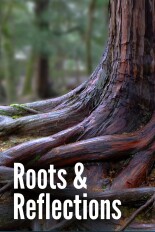 Roots & Reflections