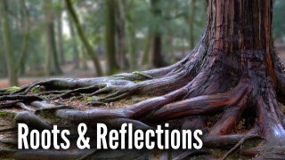 Roots & Reflections