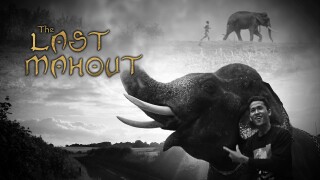 The Last Mahout
