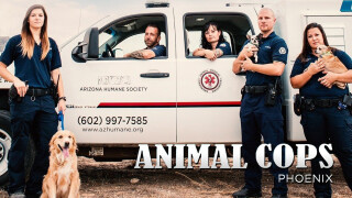 Animal Cops: Phoenix