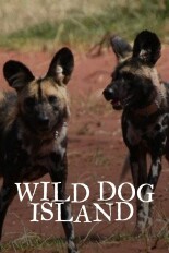 Wild Dog Island
