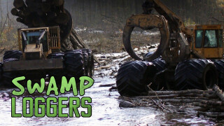 Swamp Loggers