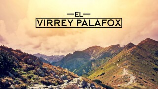 El Virrey Palafox