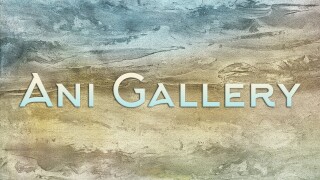 Ani Gallery