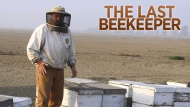 The Last Beekeeper