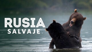 Rusia salvaje