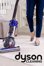 Dyson Cleaning