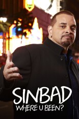 Sinbad: Where U Been?