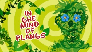 In the Mind of Plants