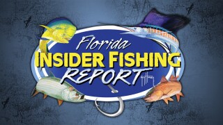 Florida Insider Fishing Report