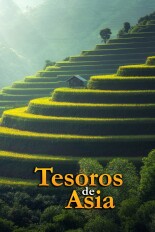 Tesoros de Asia