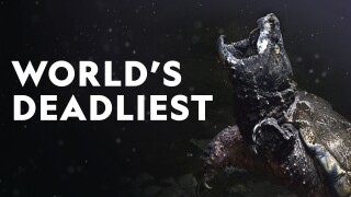 World's Deadliest