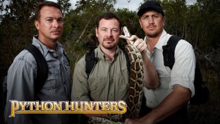 Python Hunters