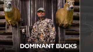 Dominant Bucks