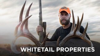 Whitetail Properties