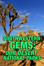 Southwestern Gems: Our Desert National Parks