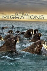 Great Migrations
