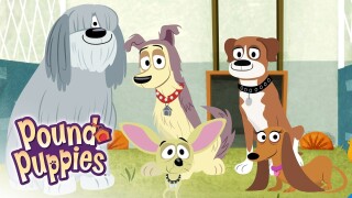 Pound Puppies