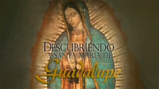 Descubriendo a Sta. Maria de Guadalupe