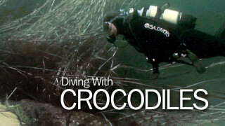 Diving With Crocodiles