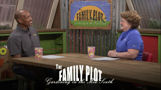 Family Plot: Gardening in the Mid-South