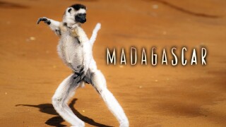 Madagascar