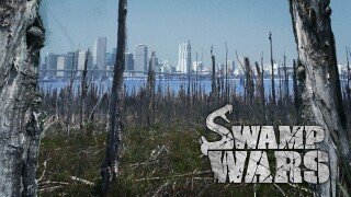 Swamp Wars