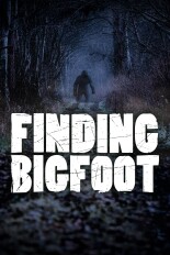 Finding Bigfoot