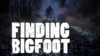 Finding Bigfoot