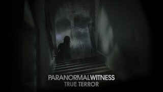 Paranormal Witness