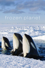 Frozen Planet