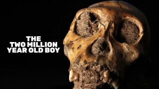 The Two Million Year Old Boy
