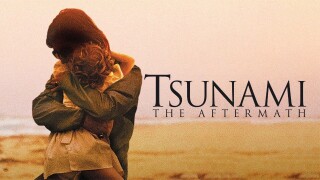 Tsunami: The Aftermath