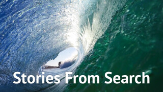 Stories From Search
