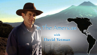 In the Americas With David Yetman