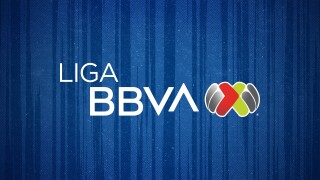 Liga MX Soccer