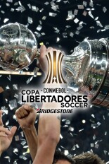 Copa Libertadores Soccer