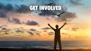 Get Involved